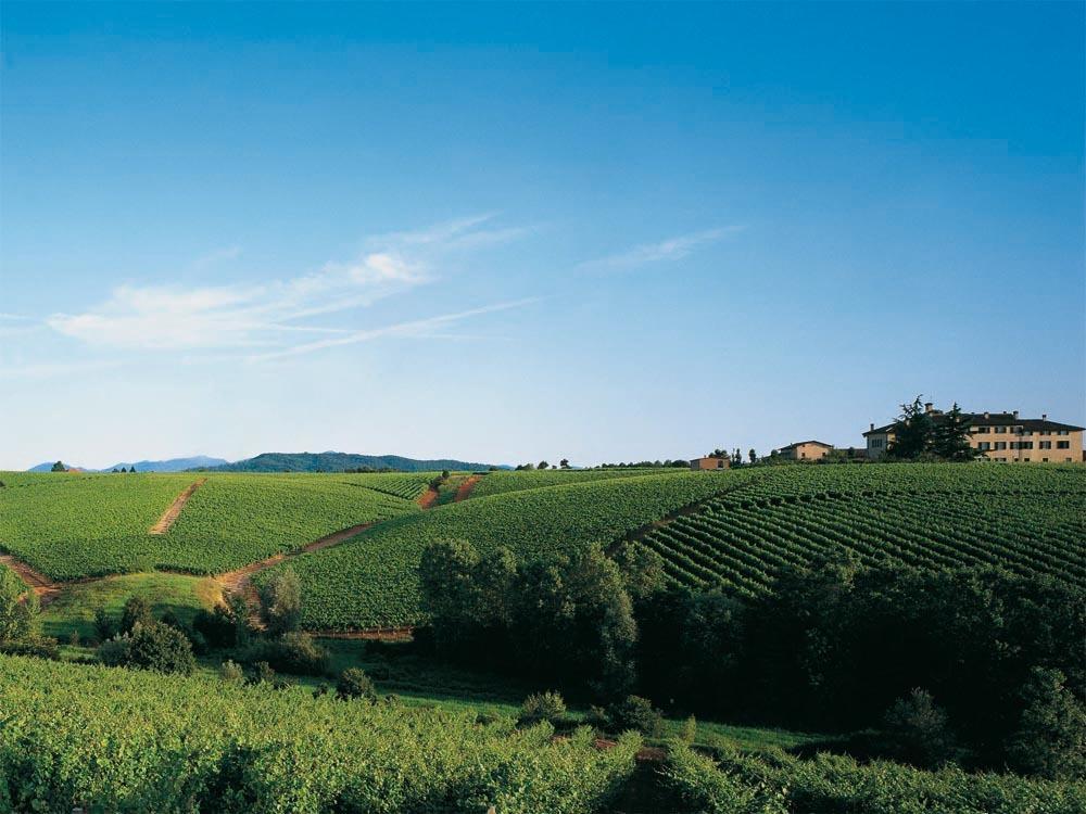 Agriturismo Tenuta La Marchesa Novi Ligure Eksteriør bilde